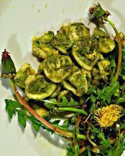 Pesto di Tarassaco | Alimentazione Naturale, EcoRicette Veg e Vegan | Scoop.it