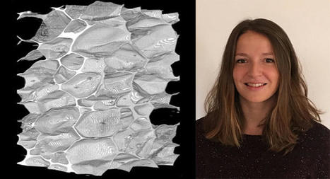 [INP-LaPrépa] #MT180 Clara Aimar fait mousser les polymères | Que sont-ils devenus ? | Scoop.it