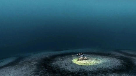 Corse : le mystère des cercles sous-marins | Biodiversité | Scoop.it