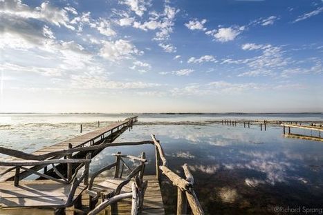 Hérault : chaleureux et contrasté - Voyager Magazine | Patrimoine & Grands Sites | Scoop.it