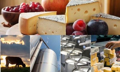 Le fromage apparaît comme l'épine dorsale des marchés laitiers | Lait de Normandie... et d'ailleurs | Scoop.it