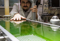 Universit&eacute; de Nantes - Biocarburants, &eacute;nergie : l'avenir des micro-algues s'invente &agrave; Saint-Nazaire | ITERG - Veille sectorielle | Scoop.it