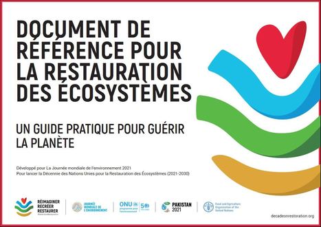 Guide pour la restauration des &eacute;cosyst&egrave;mes | ECOLOGIE - ENVIRONNEMENT | Scoop.it