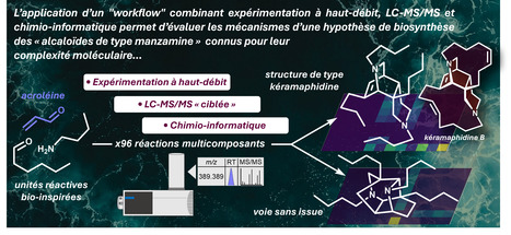 Une stratégie pour évaluer un scénario biosynthétique conduisant à des substances naturelles hautement complexes… | Life Sciences Université Paris-Saclay | Scoop.it