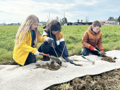 Tarasteix - En replantant des arbres, les enfants s&egrave;ment l'avenir | &Eacute;ducation, jeunesse et sports | Scoop.it