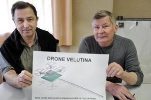 Tarbes. Le drone exterminateur de frelon asiatique - La Dépêche | Vallées d'Aure & Louron - Pyrénées | Scoop.it