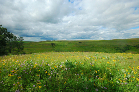Nature et paysage : un inventaire obligatoire et partagé | Paysage - Environnement | Scoop.it