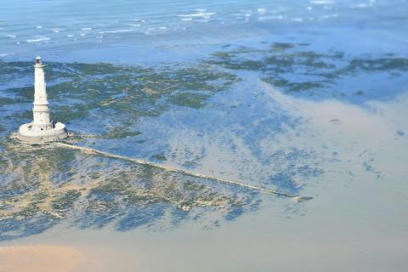 De nouvelles données cartographiques sur les fonds marins - Parc naturel marin Estuaire de la Gironde et de la mer des Pertuis | Biodiversité | Scoop.it