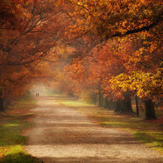 Autumn... by Pawel Kucharski | My Photo | Scoop.it