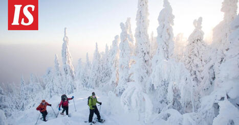 Myrskyn j&auml;lkeen on hyinen s&auml;&auml; &ndash; pakkasinferno kiristyy jopa &ndash;35 asteeseen | 1Uutiset - Lukemisen t&auml;hden | Scoop.it