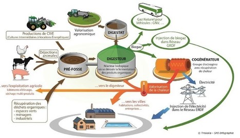 Développement de la méthanisation en Nouvelle-Aquitaine | Sud-Ouest intelligence économique | Scoop.it