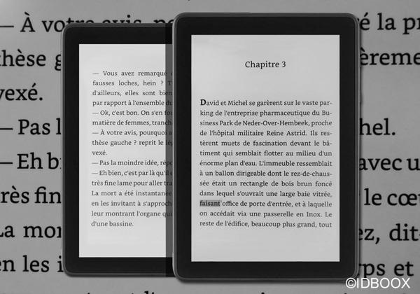 Livres numériques accessibles aux malvoyants : une vidéo qui explique tout aux lecteurs | La revue de presse «Livre et numérique» | Scoop.it