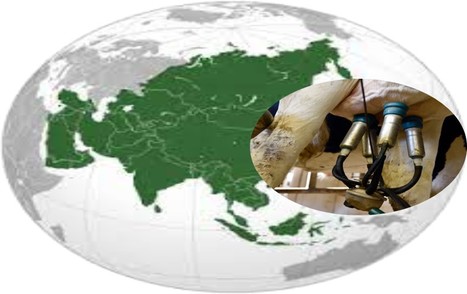 « La croissance laitière s’est centrée sur l’Asie en 2022 » | Lait de Normandie... et d'ailleurs | Scoop.it