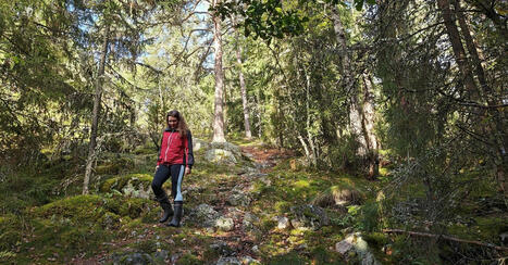 Menossa Kurpitsaviikoille Saloon? Tee samalla retki! N&auml;m&auml; 14 kohdetta l&ouml;yd&auml;t Kurpitsapuiston l&auml;helt&auml; &ndash; | 1Uutiset - Lukemisen t&auml;hden | Scoop.it