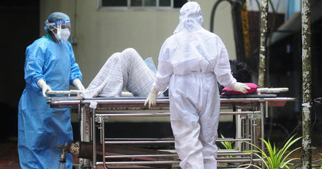 "&Ccedil;a pourrait &ecirc;tre catastrophique"&nbsp;: Nipah, le virus qui inqui&egrave;te la communaut&eacute; scientifique | Crise sanitaire | Scoop.it
