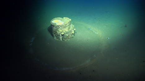 Scientists are finally learning what's inside mysterious 'halo' barrels submerged off Los Angeles | Industry 411 - Waste Management | Scoop.it