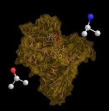 La chimie du vivant dévoile son potentiel | Life Sciences Université Paris-Saclay | Scoop.it