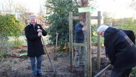 Lancement de la COP21: à Seclin, la mobilisation passe aussi par les arbres | Vers la transition des territoires ! | Scoop.it