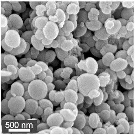 In vivo studies on the effect of co-encapsulation of CpG DNA and antigen in acid-degradable microparticle vaccines | Virology News | Scoop.it