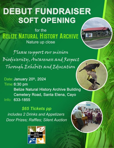 Belize Natural History Archive Soft Opening | Cayo Scoop!  The Ecology of Cayo Culture | Scoop.it