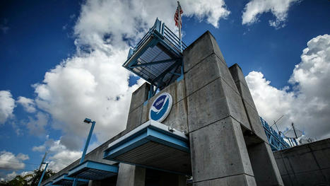 Hurricane season forecasts begin May 15 after years of early storms | Best Space Coast Florida Life Scoops | Scoop.it