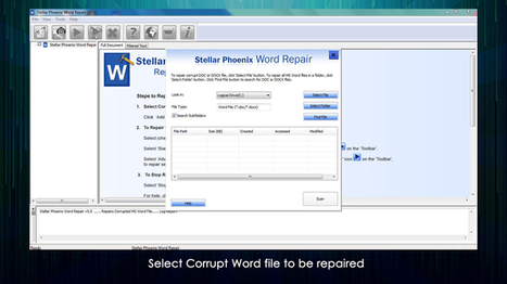 stellar phoenix jpeg repair 2 torrent download