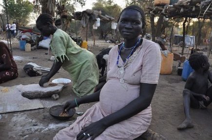 Soudan: affrontements entre les rebelles et l'armée dans la province du Nil Bleu | Actualités Afrique | Scoop.it