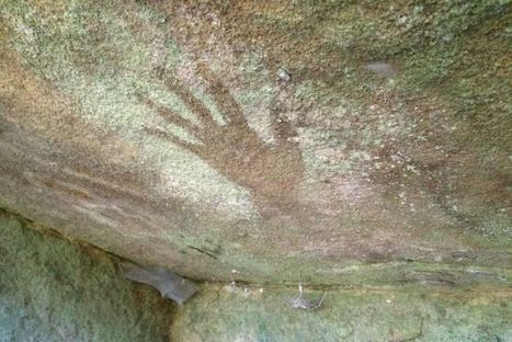Ancient Aboriginal rock art site found in suburban Sydney | Archaeology News | Scoop.it