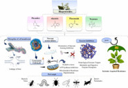 [Article scientifique] Plant protection-derived biopesticides for sustainable crop protection: Review and bibliometric mapping - ScienceDirect | SCIENCES DU VEGETAL | Scoop.it