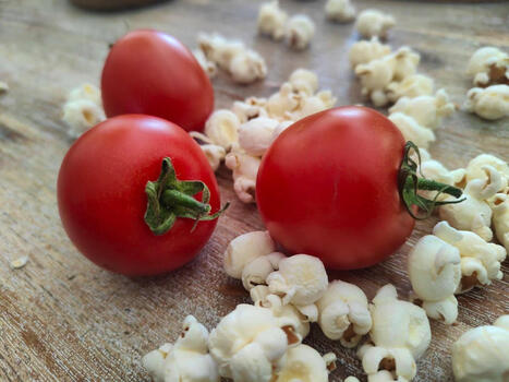 INNOVATIONS : Tomate g&eacute;n&eacute;tiquement modifi&eacute;e popcorn: l&rsquo;illusion du progr&egrave;s | INNOVATIONS | Scoop.it