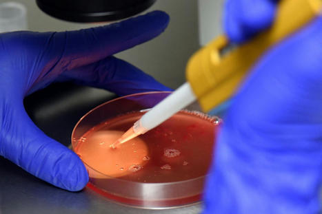 Le Comit&eacute; consultatif national d&rsquo;&eacute;thique alerte contre l&rsquo;eug&eacute;nisme | Bio&eacute;thique & Procr&eacute;ation | Scoop.it