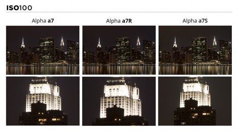 The Sony a7 Series: Which Model Suits You Best? | SONY PHOTO & VIDEO | Scoop.it