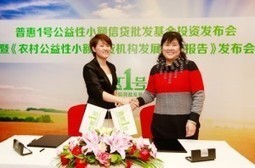 P2P Lender CreditEase & Wellington Management Partner to Invest in Pre IPO Companies | Peer2Politics | Scoop.it