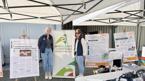 &laquo; Donner aux professionnels des cl&eacute;s pour pr&eacute;parer l&rsquo;avenir &raquo; : la fili&egrave;re porcine r&eacute;unie chez Blottipig en Sarthe - Ouest France [Abonn&eacute;s] | Agriculture en Pays de la Loire | Scoop.it