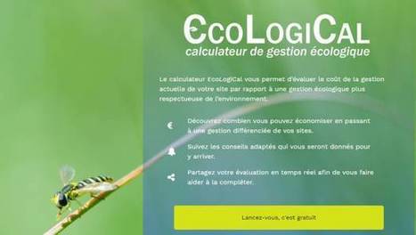 Ecological : un calculateur pour améliorer la gestion écologique des espaces verts - Environnement Magazine | GREENEYES | Scoop.it