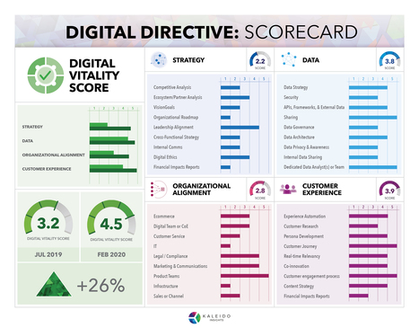Kaleido Insights Launches “Digital Directive” Diagnostic and Digital Transformation Roadmap Offering – Kaleido Insights | Entrepreneurship, Innovation | Scoop.it