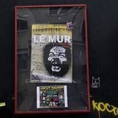 Dieudonné-Valls : le combat juridique s'emballe avant le spectacle de Nantes | Meilleure revue de presse de l'univers connu | Scoop.it