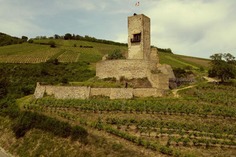 INSOLITE - Un escape game sur le th&egrave;me de la bi&egrave;re au ch&acirc;teau du Wineck dans le Haut-Rhin tout l'&eacute;t&eacute; | Nouveaut&eacute;s - Offre touristique Alsace | Scoop.it