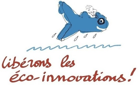 Voilier du Futur | Crowdfunding Nautisme | Scoop.it