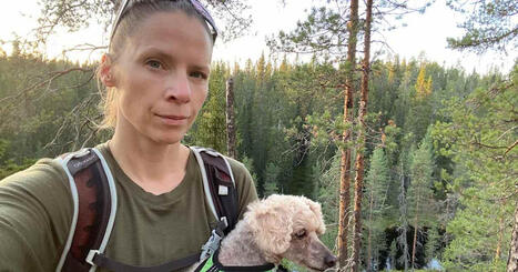 Pris gick f&ouml;re kvalitet n&auml;r &Aring;bo valde veterin&auml;rjour &ndash; dv&auml;rgpudeln Hippo dog efter bes&ouml;k | &Aring;boland | 1Uutiset - Lukemisen t&auml;hden | Scoop.it