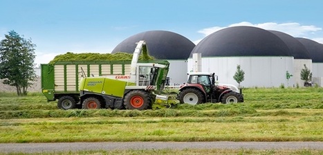 TECH: Produits à partir de bois et de paille, deux biocarburants innovants déjà au point  | INNOVATIONS | Scoop.it