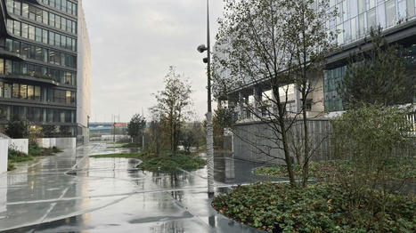 Lille : Le jardin du Champ libre, une touche de vert entre des parois de verre | Nature en ville | Scoop.it