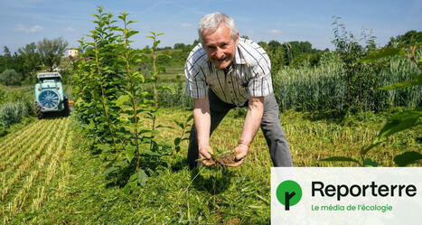 Ce pépiniériste cultive des arbres résistants au changement climatique | Biodiversité - @ZEHUB on Twitter | Scoop.it
