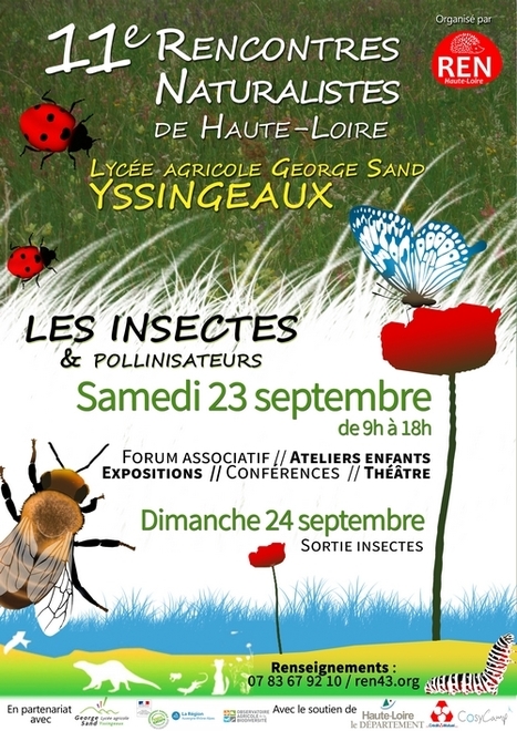 Insectes et pollinisateurs au centre des 11es rencontres naturalistes à Yssingeaux - La Commère 43 | Variétés entomologiques | Scoop.it