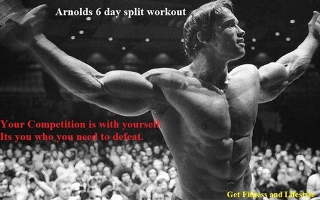 6 Day Workout Routine 6 Day Workout Split Arnold In