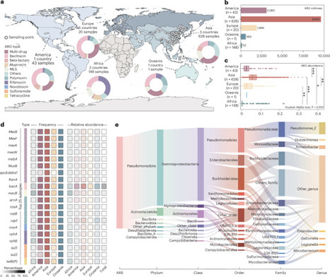 Phage-mediated resistome dynamics in global aquifers | Nwt | RMH | Scoop.it