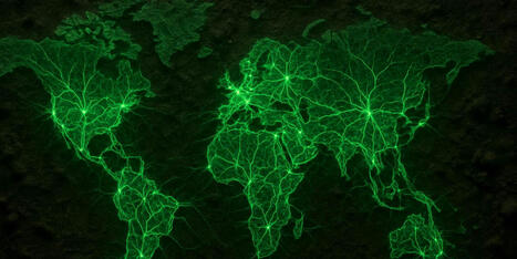 Une carte inédite révèle les réseaux invisibles sous nos pieds et leur rôle vital pour la planète - Futura Science | Biodiversité | Scoop.it