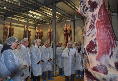 Un concours avec onze éleveurs locaux était organisé, hier, dans le cadre de la journée du bœuf - Ussel (19200) - La Montagne | La Gazette des abattoirs | Scoop.it