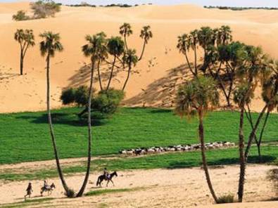 Le réchauffement climatique reverdit le Sahara | Actualités Afrique | Scoop.it