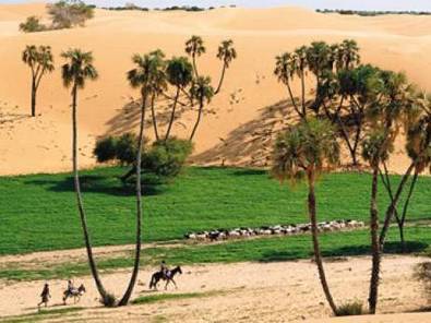 Le réchauffement climatique reverdit le Sahara - El Watan | Gestion Durable des Ressources | Scoop.it